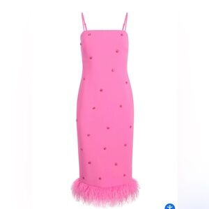 Likely Electra Embellished Dress Pink Size 10